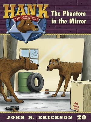 cover image of The Phantom in the Mirror